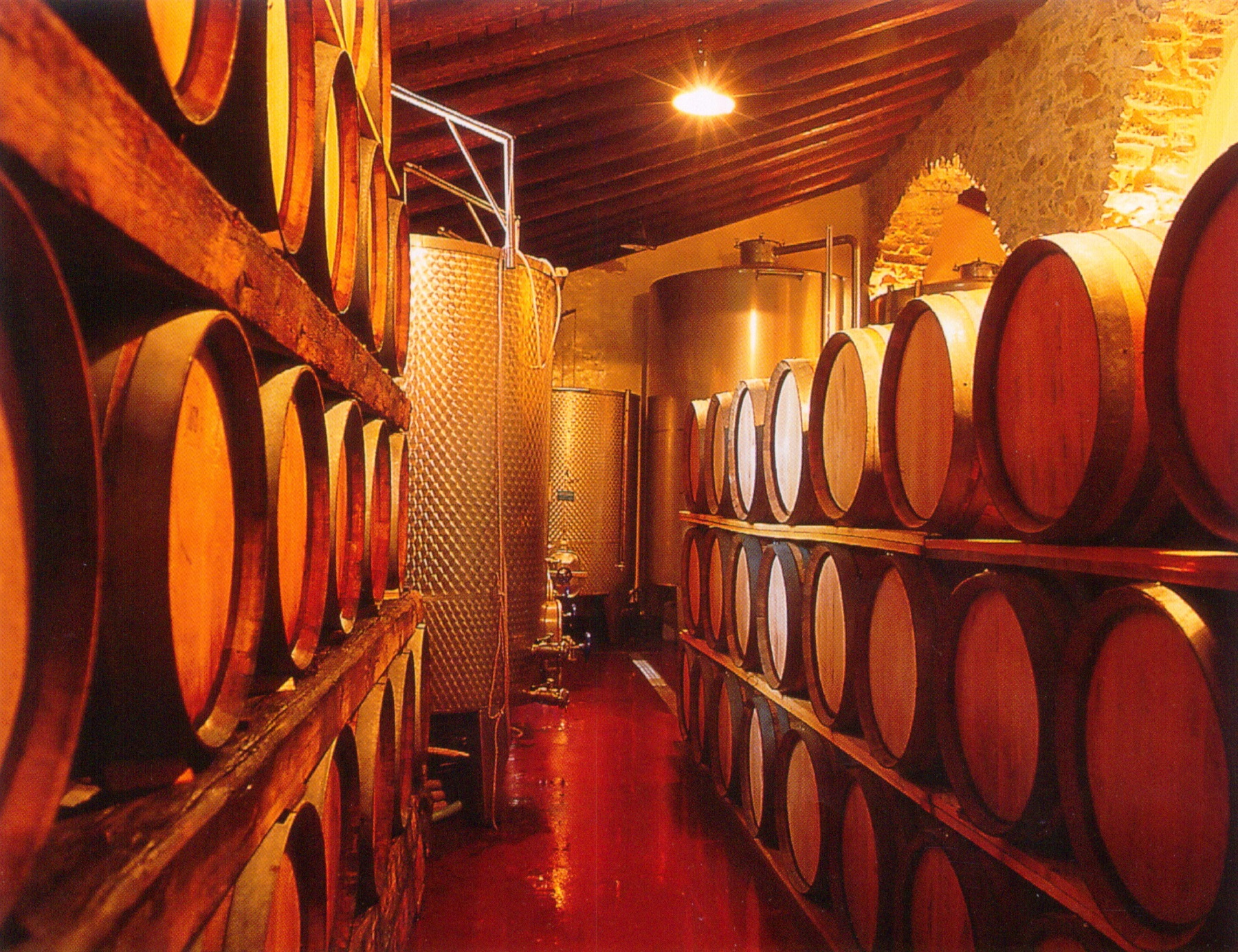 Sicilian Wines: Five recommended organic wines | Wine & Other Stories ...