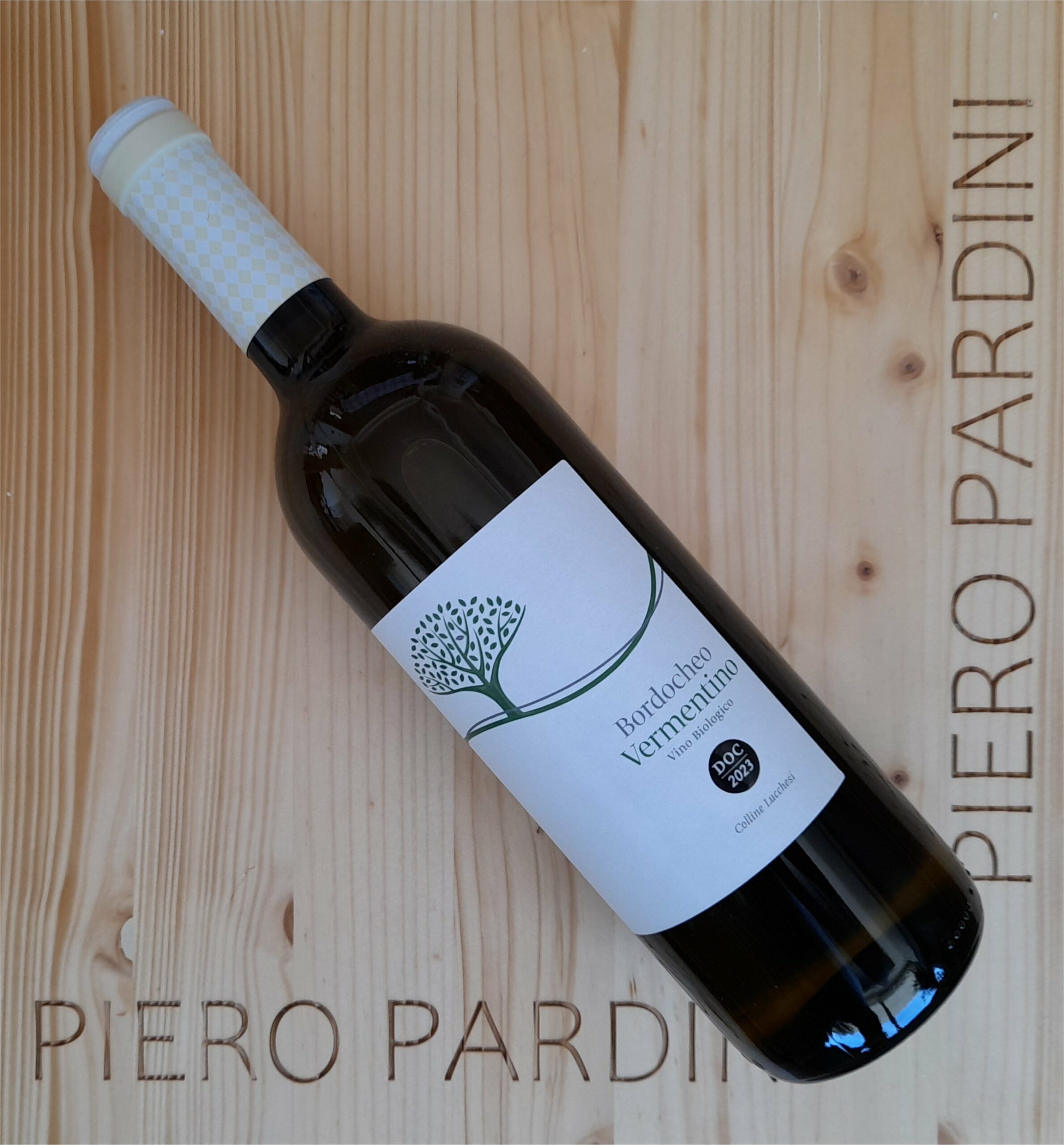 Vermentino 2023 - Bordochero