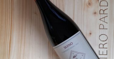 Sileno Cabernet Franc 2022 - Gianni Moscardini