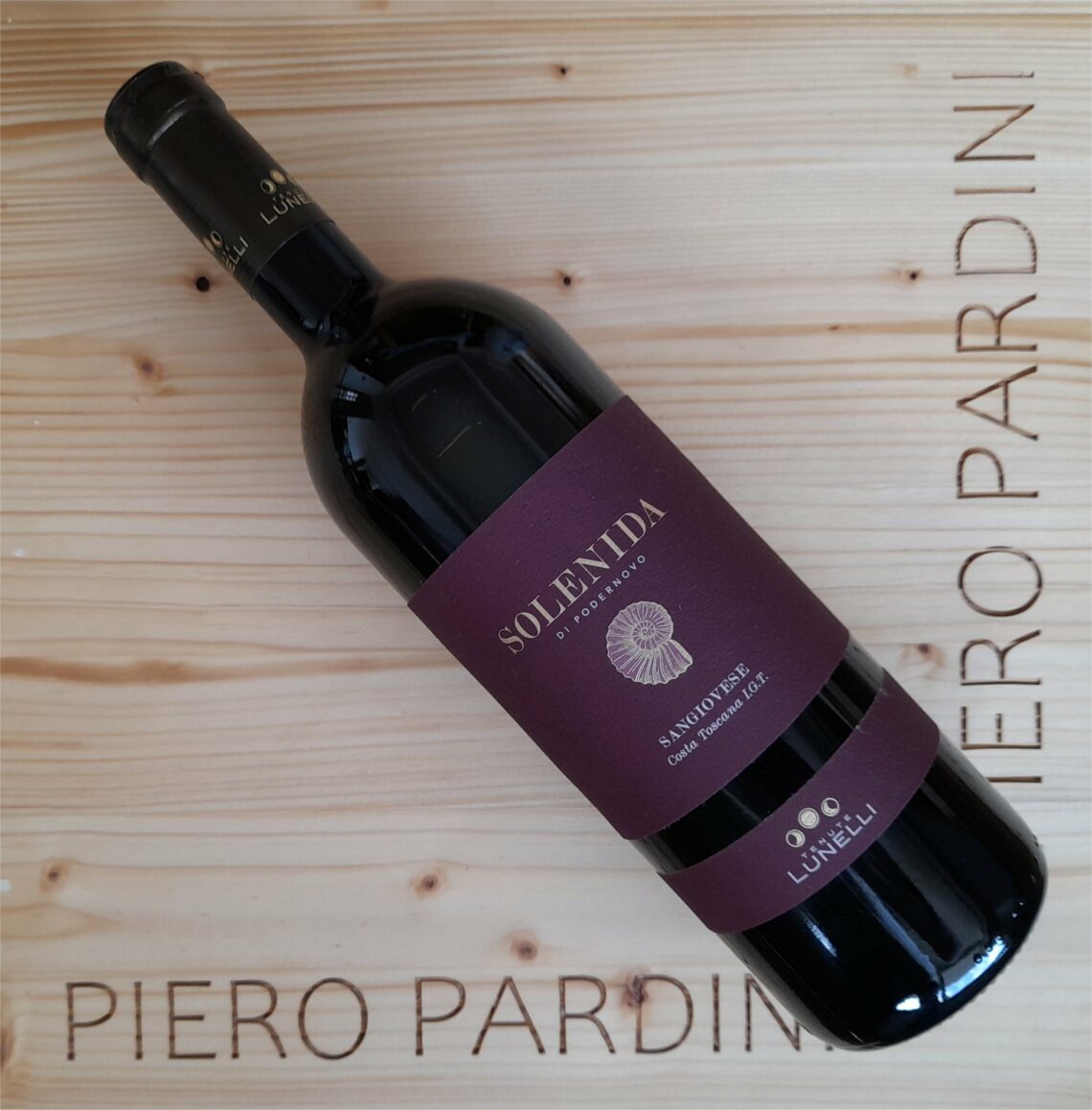 Solenida di Pondernovo 2019 - Tenuta Podernovo